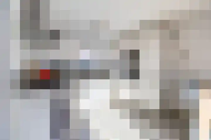 Weerterbos 92 Hoofddorp thumbnail 15