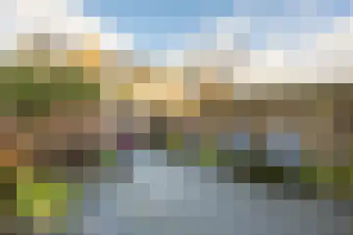 Weerterbos 92 Hoofddorp thumbnail 22