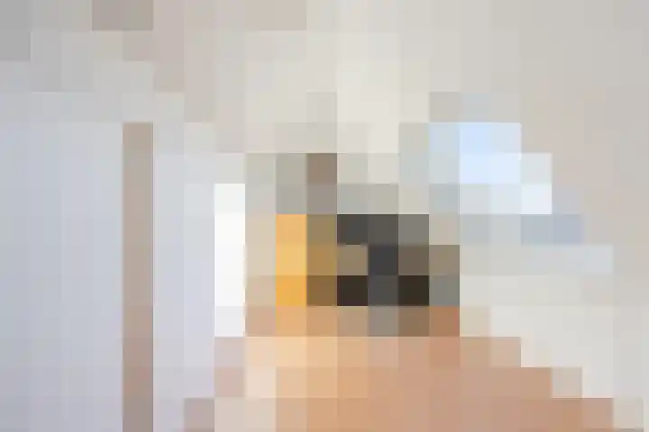 Weerterbos 92 Hoofddorp thumbnail 32