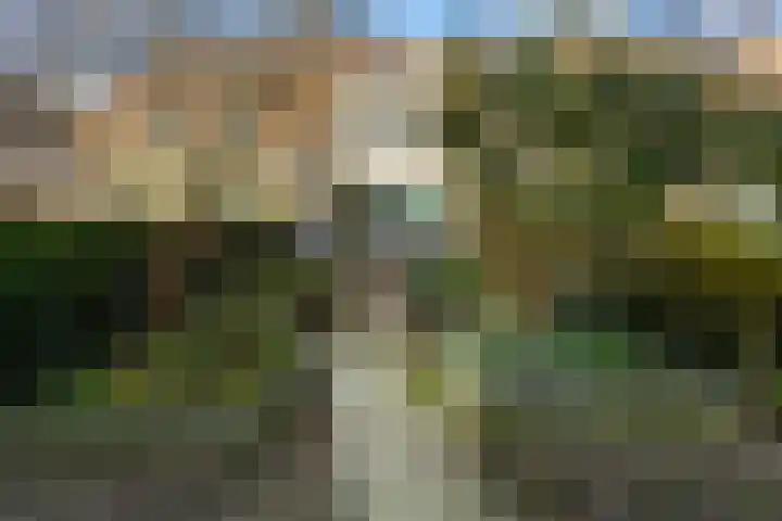 Weerterbos 92 Hoofddorp thumbnail 34