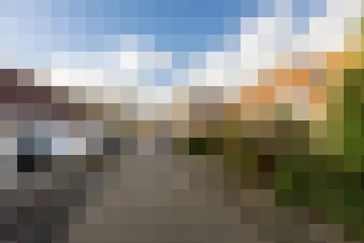 Weerterbos 92 Hoofddorp thumbnail 36