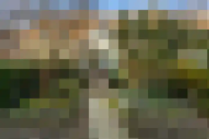 Weerterbos 92 Hoofddorp thumbnail 5