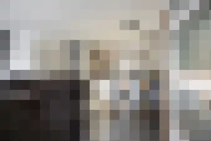 Weerterbos 92 Hoofddorp thumbnail 7