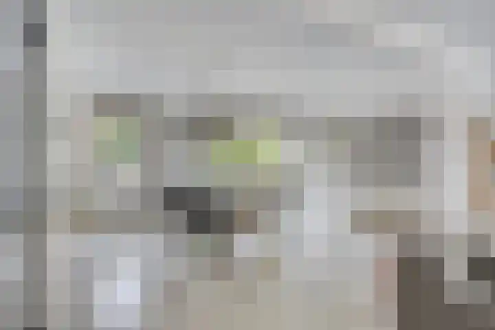 Weerterbroekplantsoen 36 Meerssen thumbnail 11