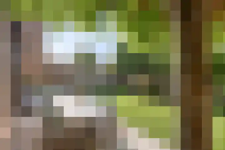 Weerterbroekplantsoen 36 Meerssen thumbnail 35