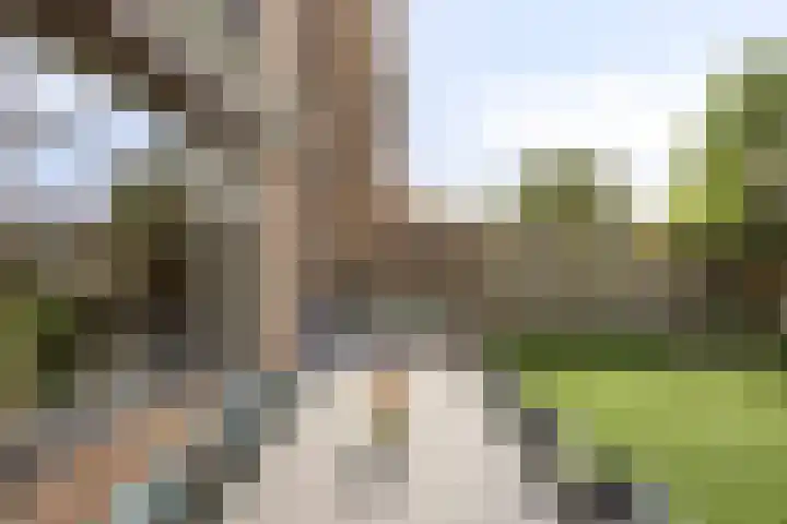 Weerterbroekplantsoen 36 Meerssen thumbnail 36