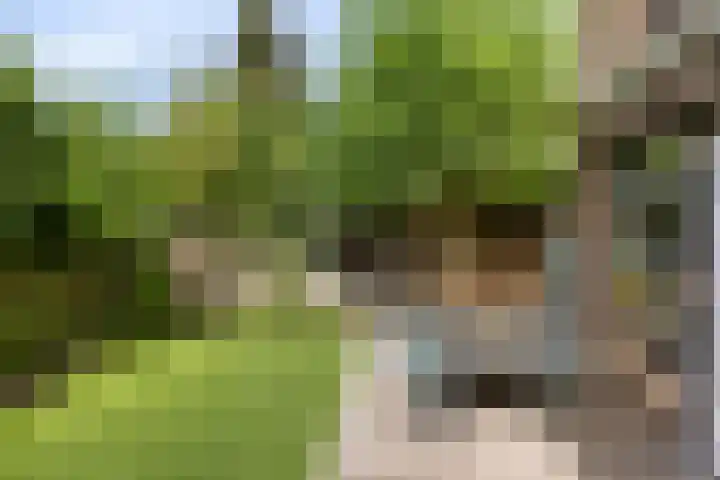 Weerterbroekplantsoen 36 Meerssen thumbnail 37