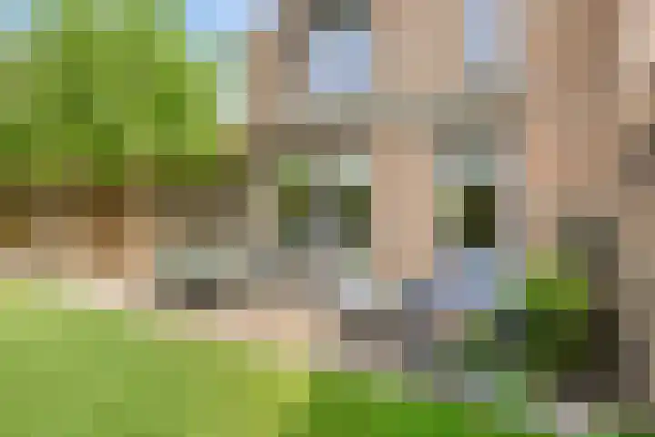 Weerterbroekplantsoen 36 Meerssen thumbnail 4