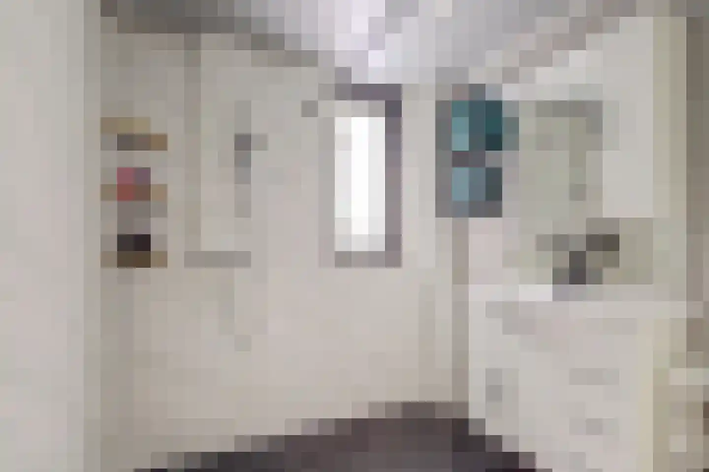 Weerterschans 12 Nieuwegein thumbnail 28