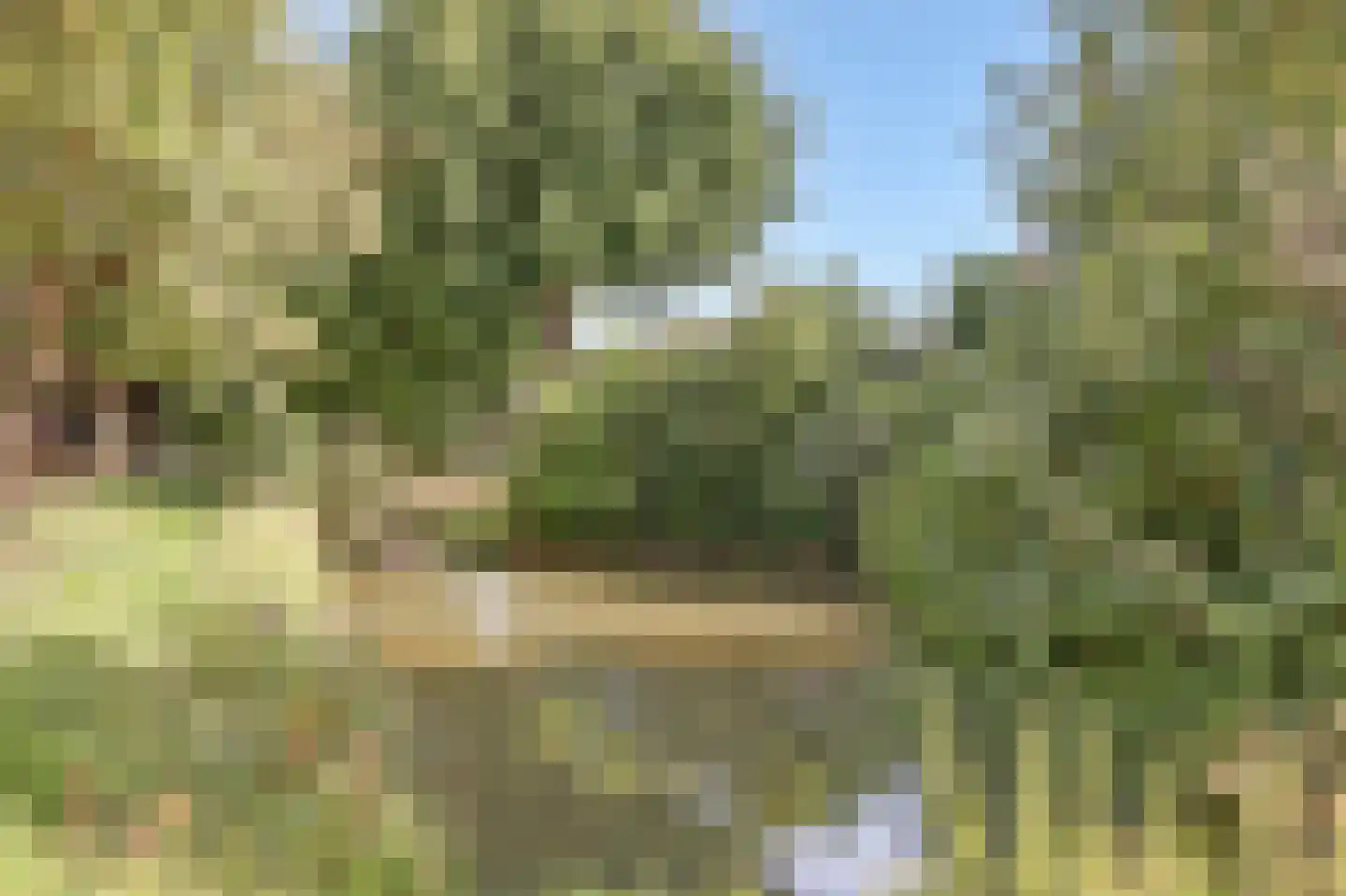 Weerterschans 12 Nieuwegein thumbnail 39
