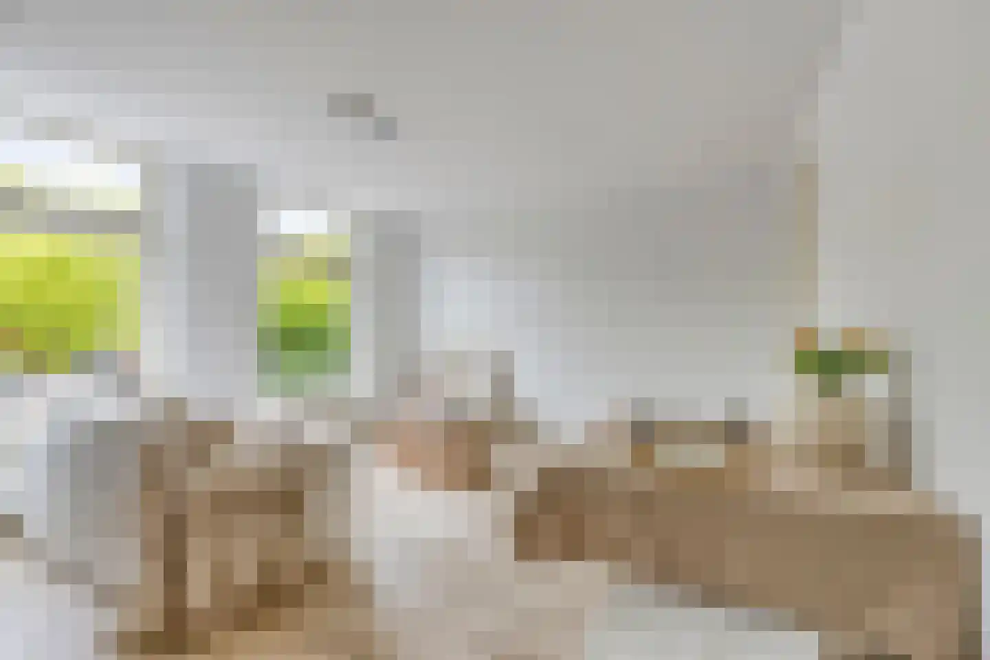 Weerwal 1 A Purmerend thumbnail 9