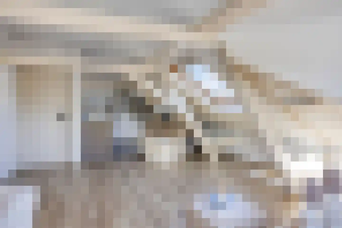 Weerwal 1 D Purmerend thumbnail 10