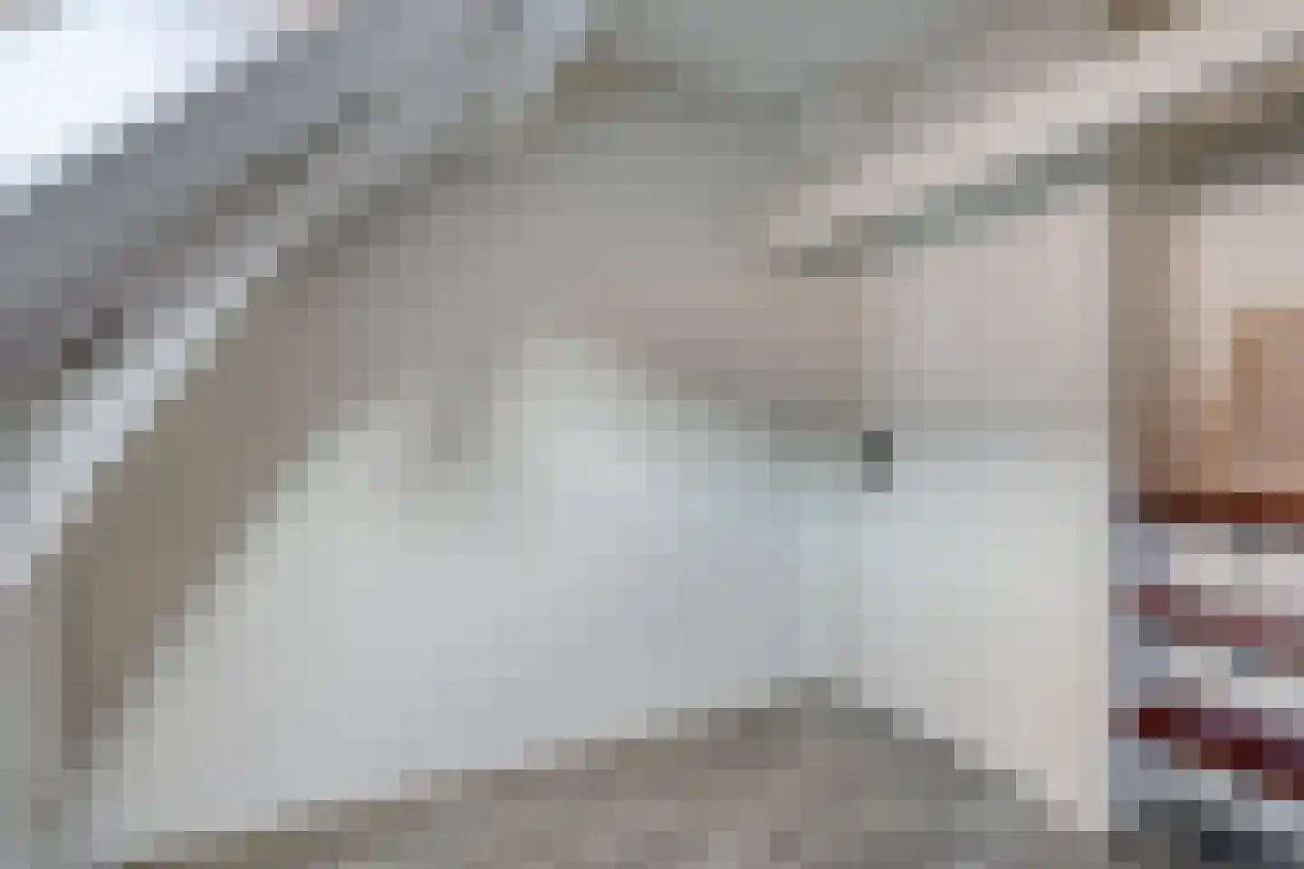 Weerwal 1 D Purmerend thumbnail 15
