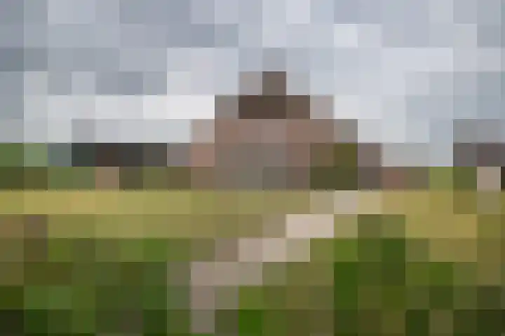 Weerwille 10 Ruinerwold