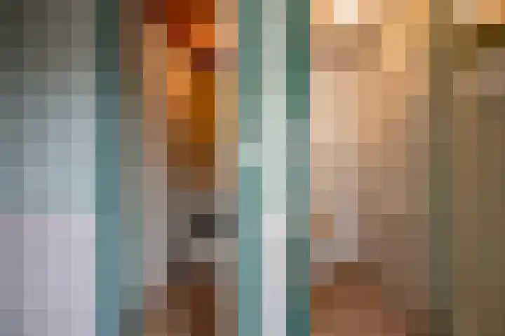 Weerwille 10 Ruinerwold thumbnail 18
