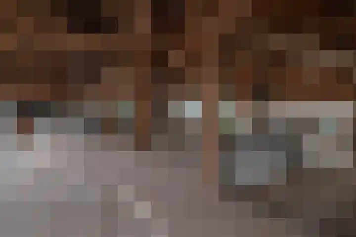 Weerwille 10 Ruinerwold thumbnail 20