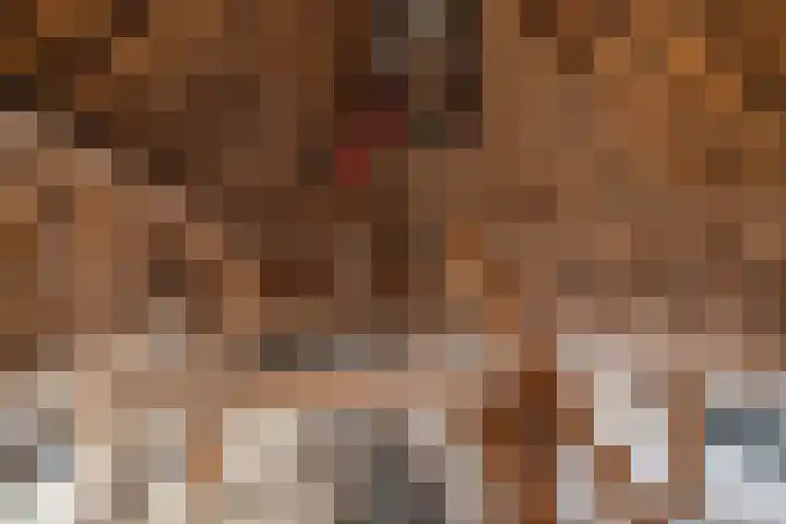 Weerwille 10 Ruinerwold thumbnail 22