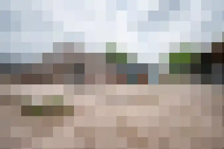 Weerwille 10 Ruinerwold thumbnail 23
