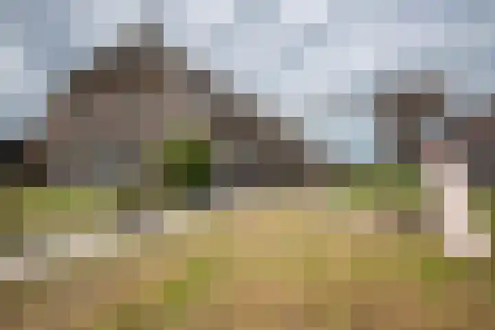 Weerwille 10 Ruinerwold thumbnail 24