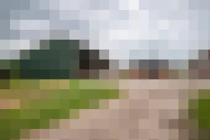 Weerwille 10 Ruinerwold thumbnail 26