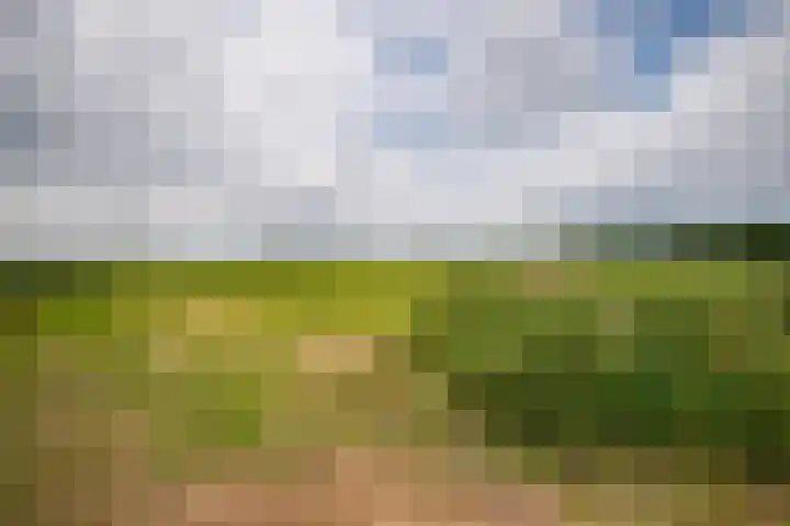 Weerwille 10 Ruinerwold thumbnail 27
