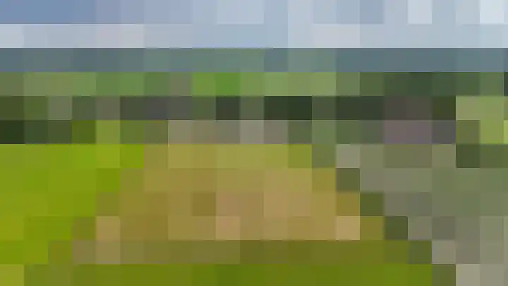 Weerwille 10 Ruinerwold thumbnail 28