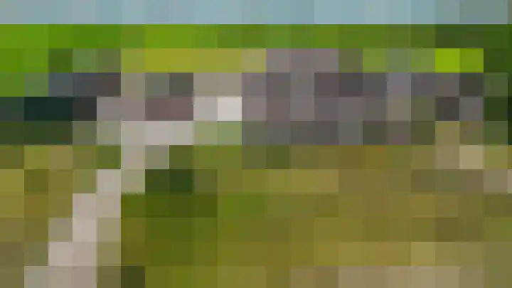 Weerwille 10 Ruinerwold thumbnail 29