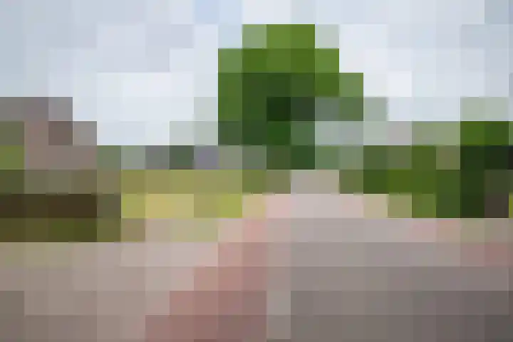 Weerwille 10 Ruinerwold thumbnail 30