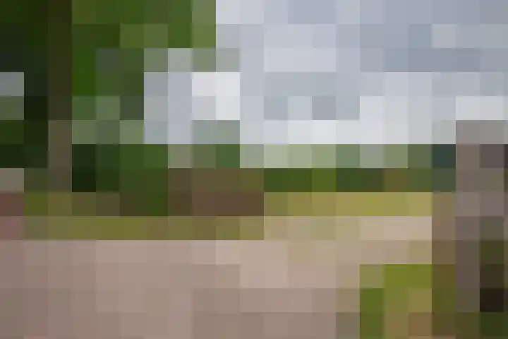 Weerwille 10 Ruinerwold thumbnail 31