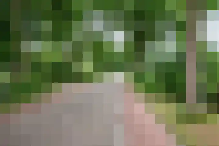 Weerwille 10 Ruinerwold thumbnail 32