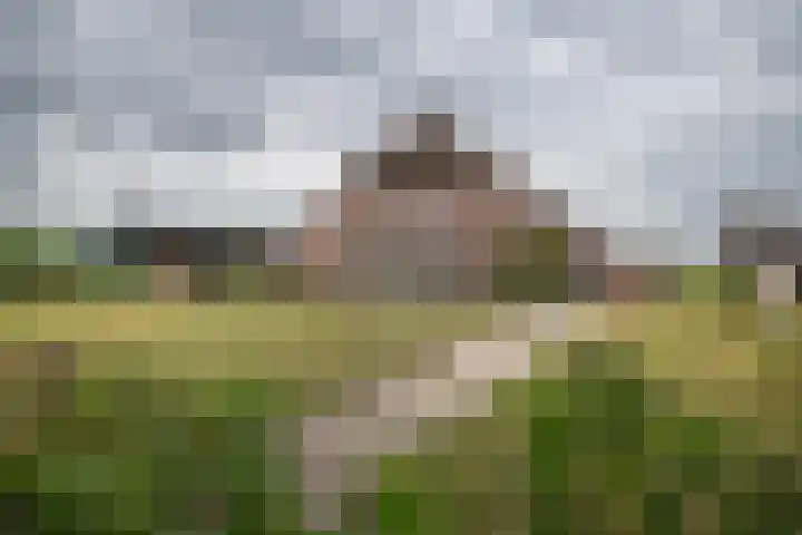 Weerwille 10 Ruinerwold thumbnail 37