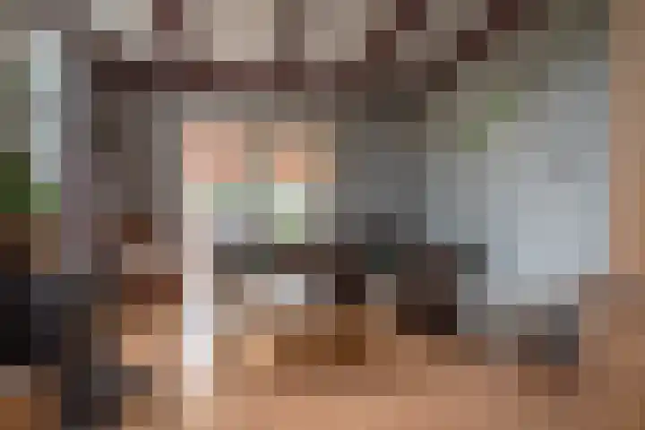 Weerwille 10 Ruinerwold thumbnail 7