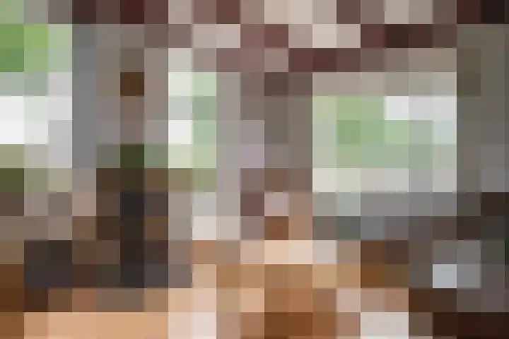 Weerwille 10 Ruinerwold thumbnail 8