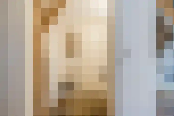 Weerwille 15 Ruinerwold thumbnail 24