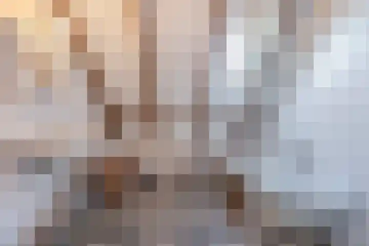 Weerwille 15 Ruinerwold thumbnail 31