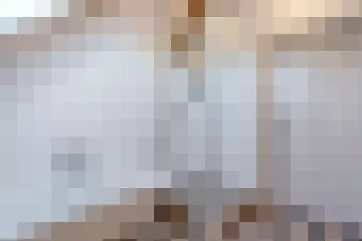 Weerwille 15 Ruinerwold thumbnail 32