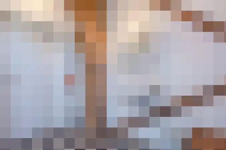 Weerwille 15 Ruinerwold thumbnail 33