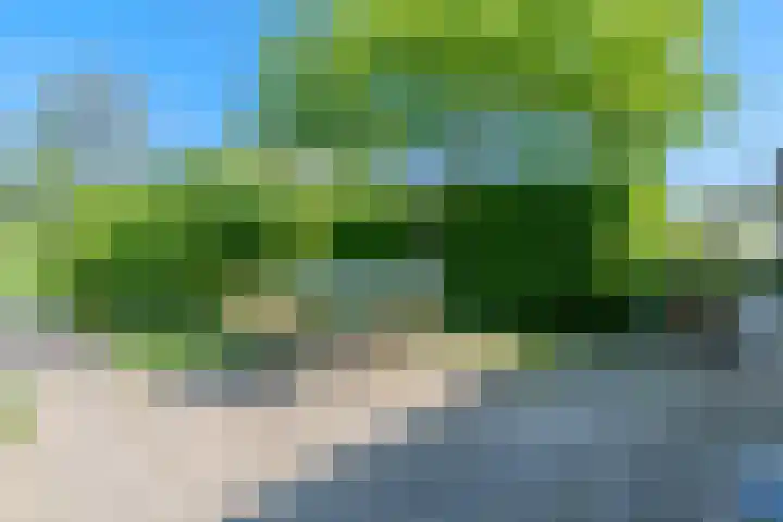 Weerwille 15 Ruinerwold thumbnail 43