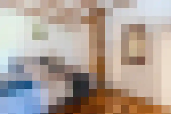 Weerwille 15 Ruinerwold thumbnail 48