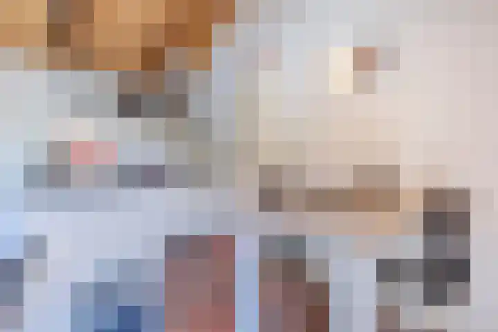Weerwille 15 Ruinerwold thumbnail 57
