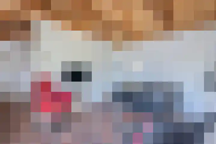 Weerwille 15 Ruinerwold thumbnail 58
