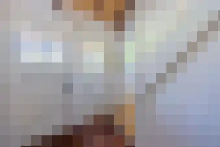 Weerwille 15 Ruinerwold thumbnail 6