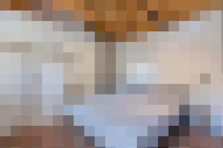 Weerwille 15 Ruinerwold thumbnail 60