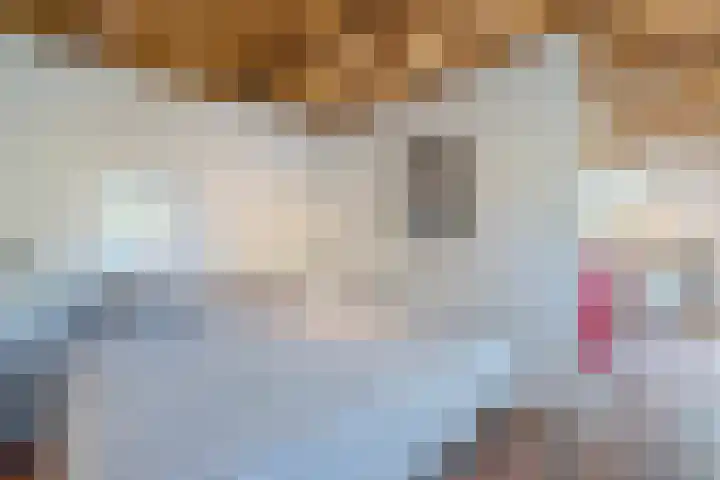 Weerwille 15 Ruinerwold thumbnail 61