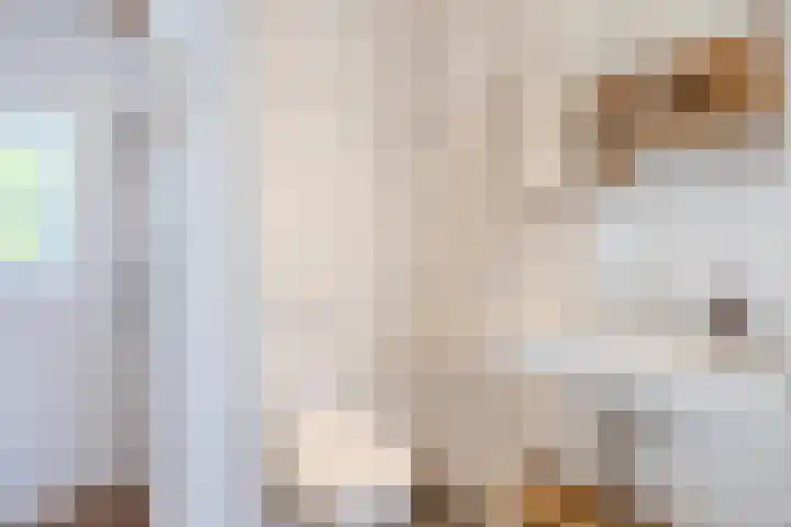Weerwille 15 Ruinerwold thumbnail 62