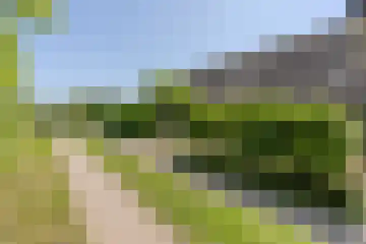 Weerwille 15 Ruinerwold thumbnail 64