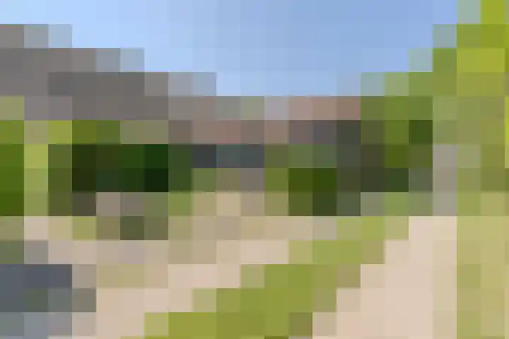Weerwille 15 Ruinerwold thumbnail 65