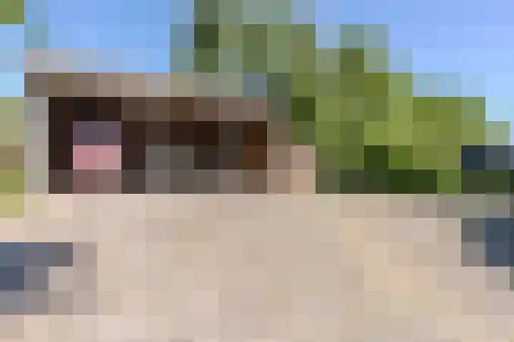 Weerwille 15 Ruinerwold thumbnail 66