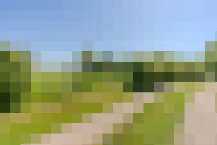 Weerwille 15 Ruinerwold thumbnail 67