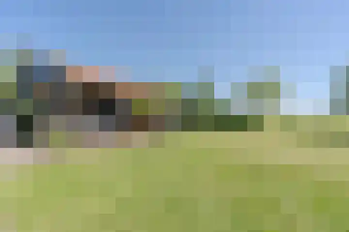 Weerwille 15 Ruinerwold thumbnail 68